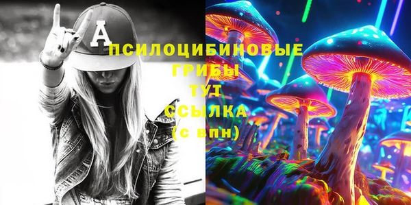 мяу мяу кристалл Арсеньев