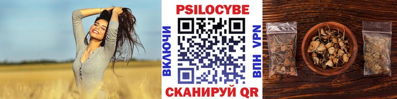 Галлюциногенные грибы GOLDEN TEACHER  Купить где  Адыгейск 